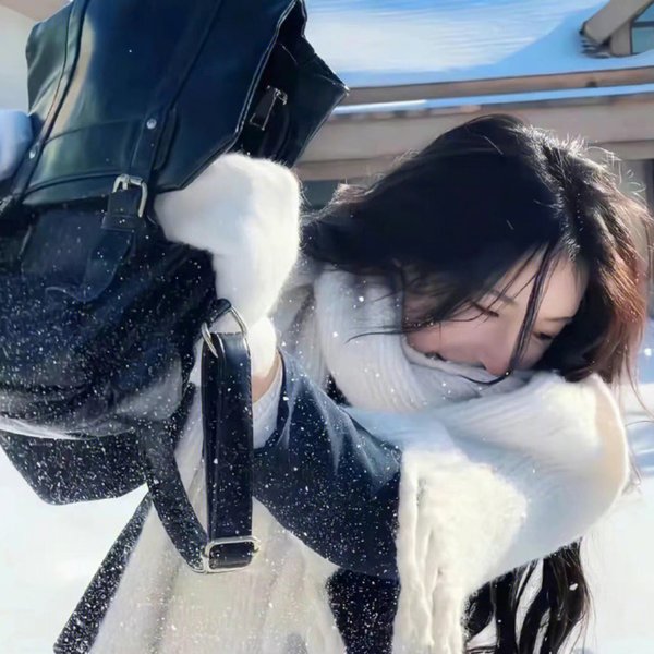 雪豹之暗战天机