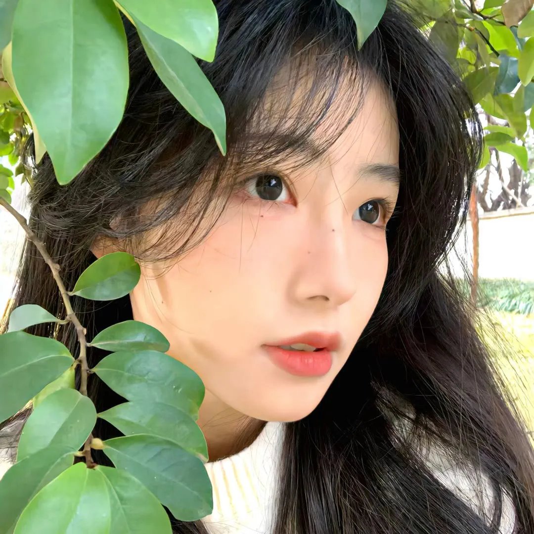 我曾来过